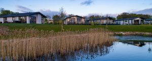 Lakeshore Park home exteriors from the lake